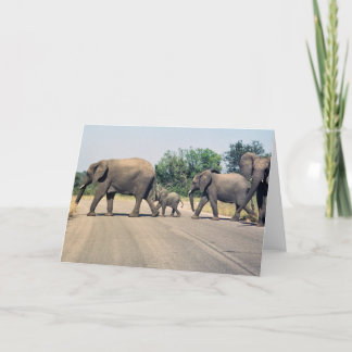 Why did the elephant cross the road? (2) card