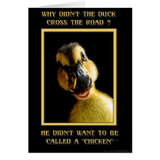 Why didn't the duck cross the road cards