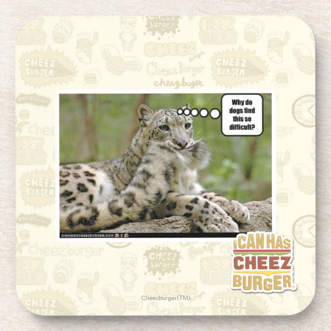 Why do dogs find this so difficult? beverage coaster (Front)