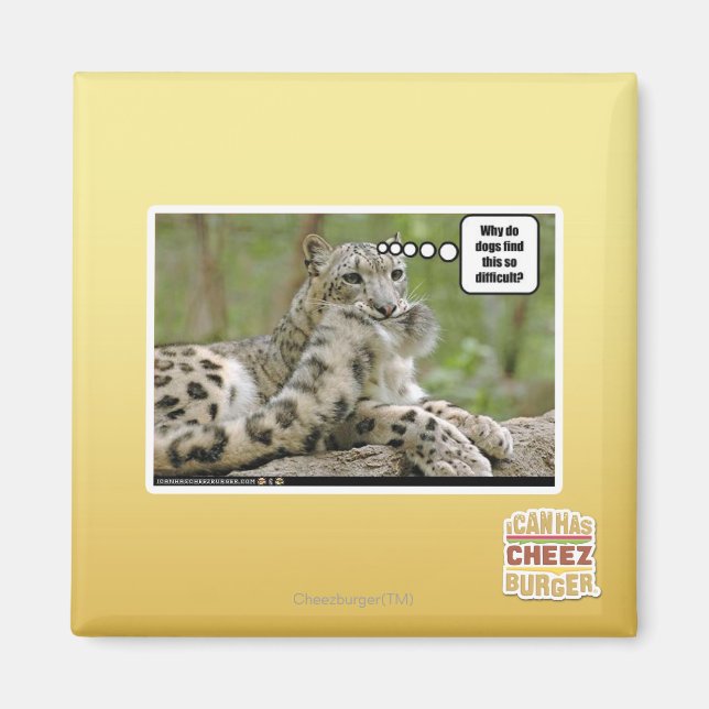 Why do dogs find this so difficult? magnet (Front)