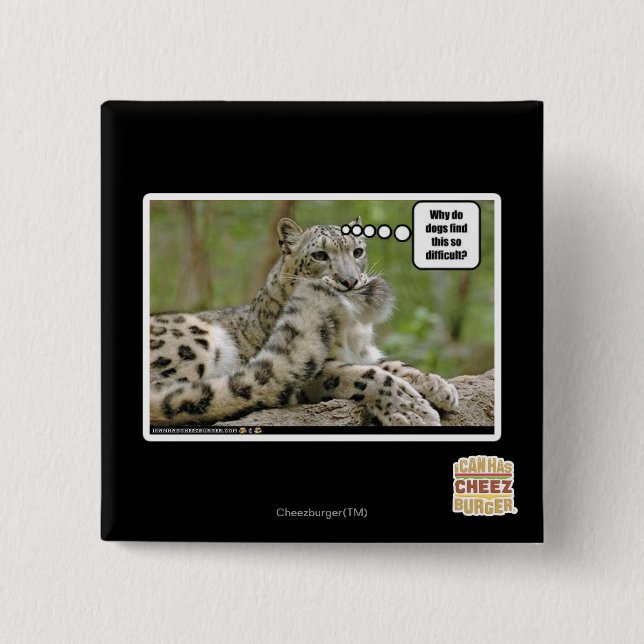 Why do dogs find this so difficult? pinback button (Front)