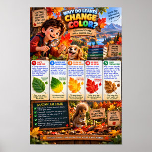Why Do Leaves Change Color Infographic Poster