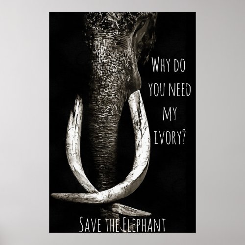 Why Do You Need My Ivory Black and White Elephant Poster