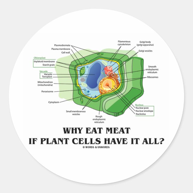 Why Eat Meat If Plant Cells Have It All? (Veg Fun) Classic Round Sticker (Front)