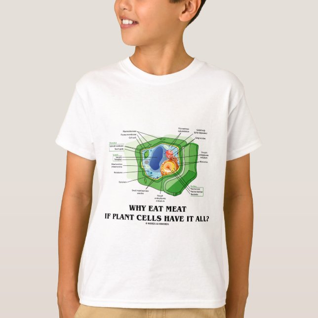 Why Eat Meat If Plant Cells Have It All? (Veg Fun) T-Shirt (Front)