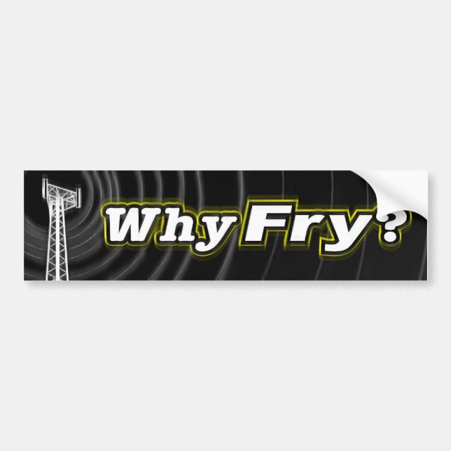 Why Fry? Bumper Sticker (Front)