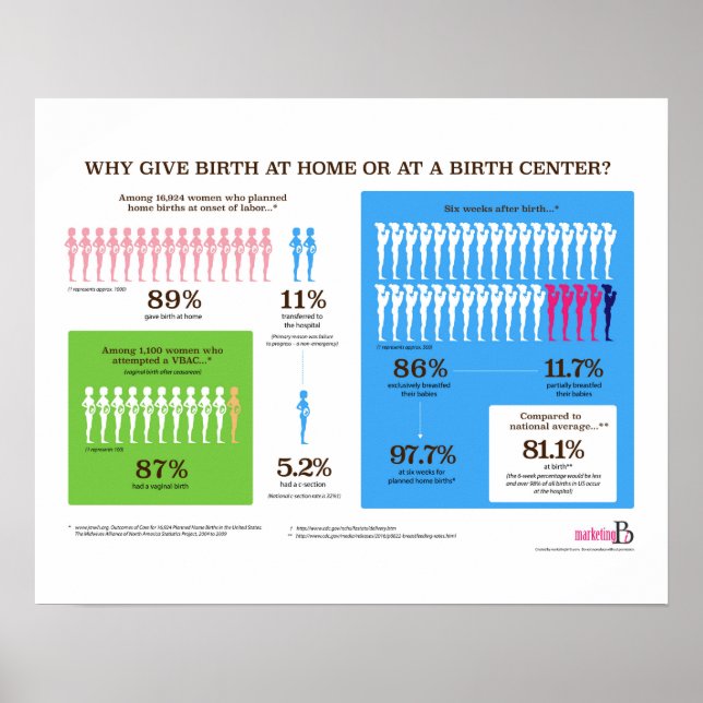 Why Home Birth Infographic 20" x 16” Poster (Front)