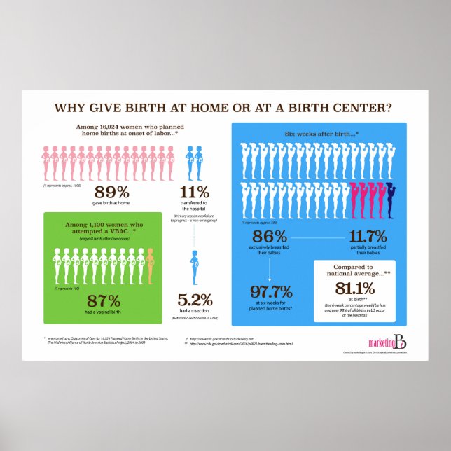 Why Home Birth? Infographic 36" x 24" Poster (Front)