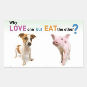 Why Love one but eat the other -Dog and Pig Rectangular Sticker