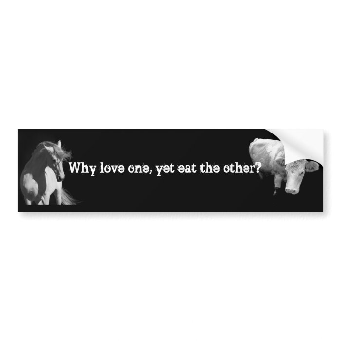 Why love one   Yet eat the other? Horse and Cow Bumper Sticker