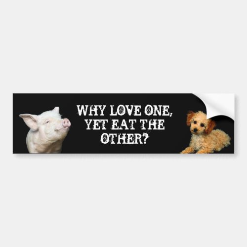 Why love one _ Yet eat the other PigPoodle Bumper Sticker