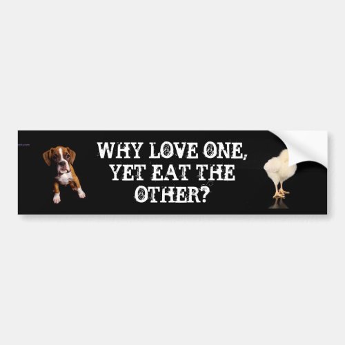 Why Love one yet eat the other_Puppy Chick Bumper Sticker