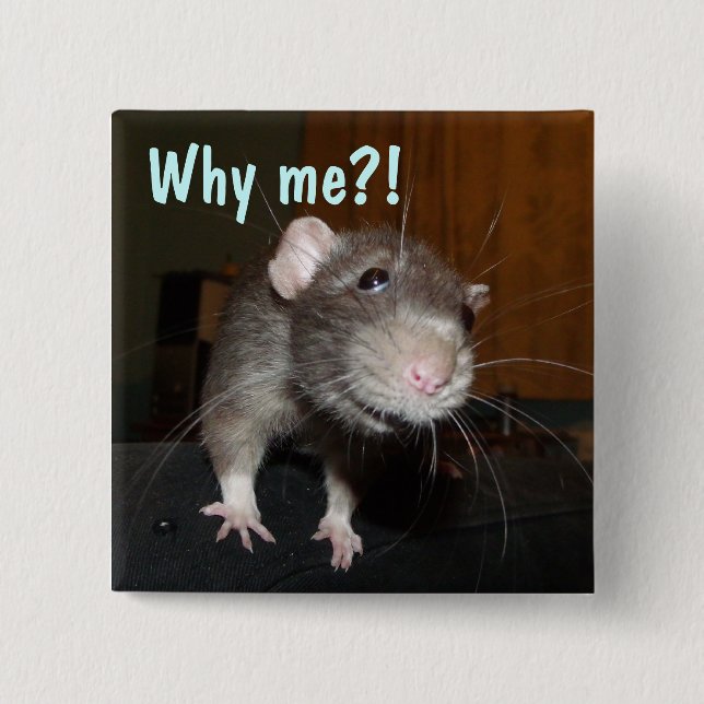 why me?! rat badge button (Front)
