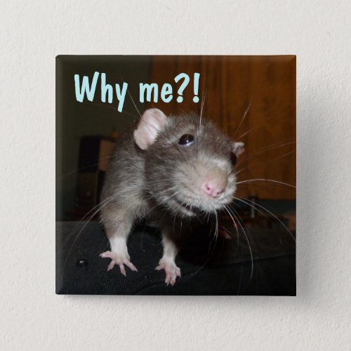 why me rat badge button
