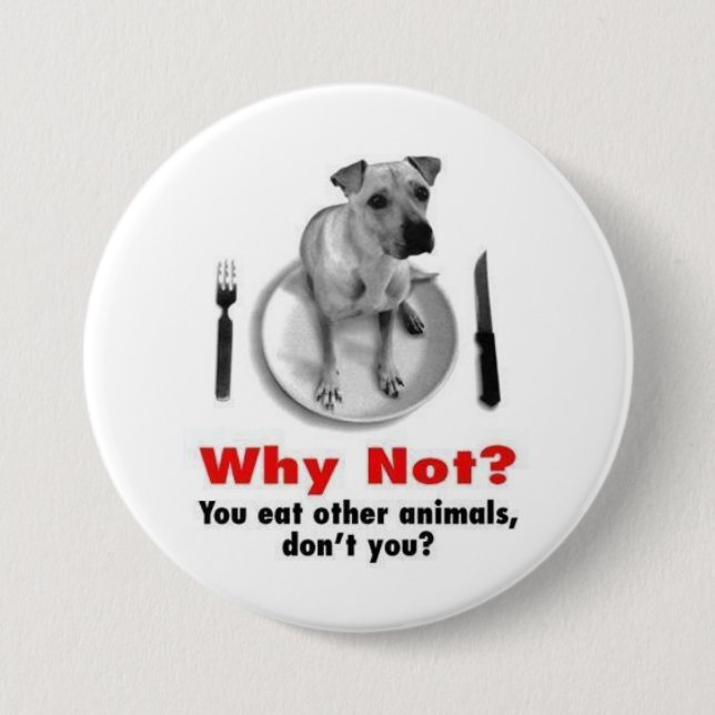 Why Not? Pinback Button (Front)