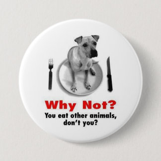 Why Not? Pinback Button