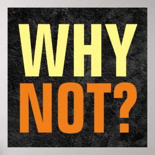 Why Not Possibilities Inspirational Gray Poster