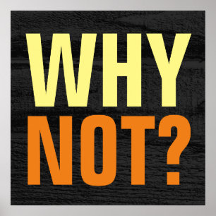 Why Not Possibilities Inspirational Gray Wood Poster