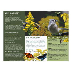 Why Plant Natives Goldenrod Green Theme Flyer