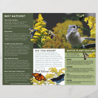 Why Plant Natives Goldenrod Green Theme Flyer