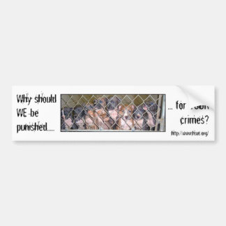 Why punish the Dogs? Bumper Sticker