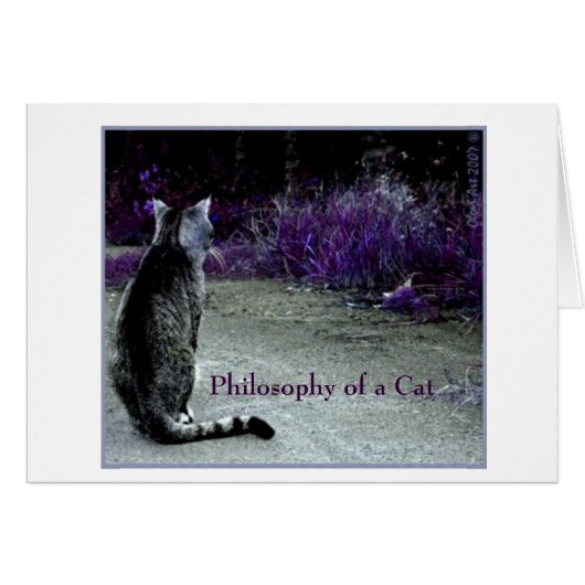 Why the grass is violet? meow cards (Front Horizontal)