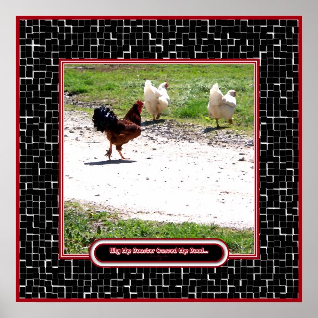 Why The Rooster Crossed the Road Poster (Front)
