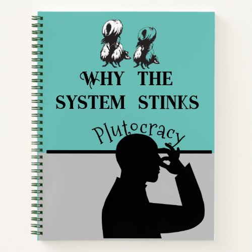 Why the System Stinks  Journal Book