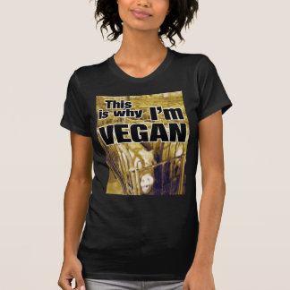Why Vegan (Women's) T-Shirt