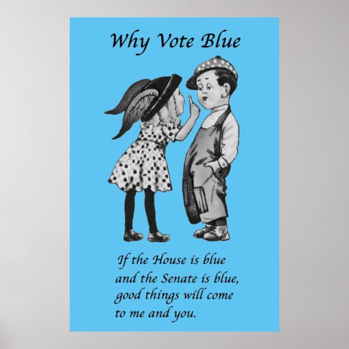 Why Vote Blue in 2022 Poster