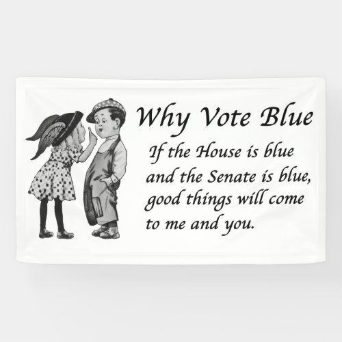 Why Vote Blue in 2024 Banner