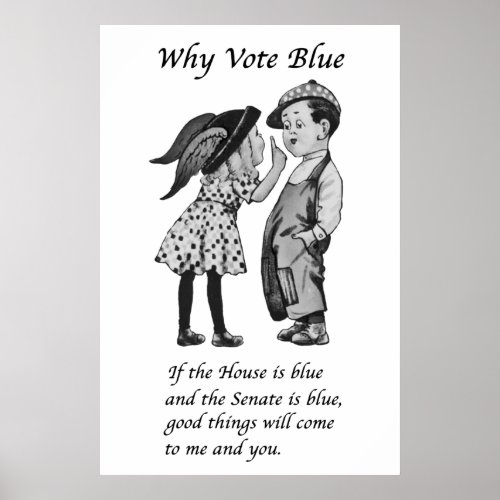 Why Vote Blue in 2024 Poster