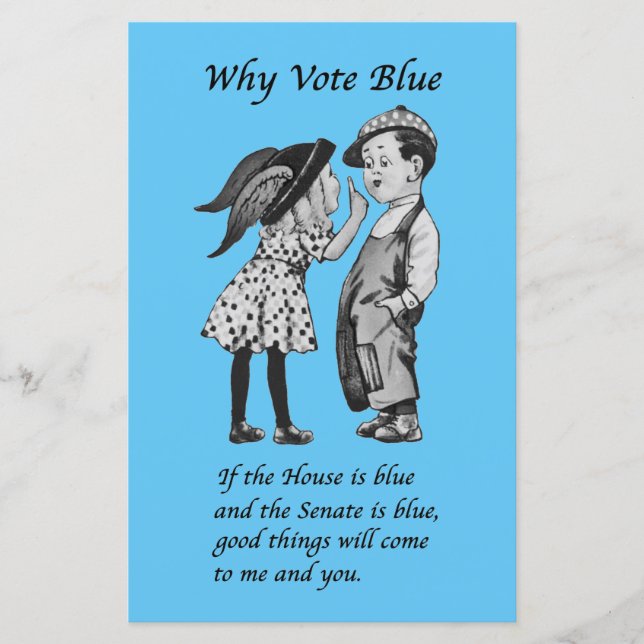 Why Vote Blue in 2026 (Front)