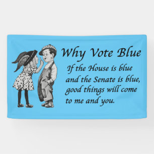 Why Vote Blue in 2026 Banner