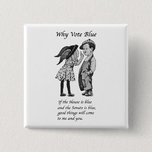 Why Vote Blue in 2026 Button