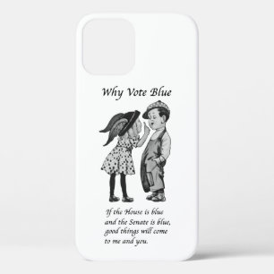 Why Vote Blue in 2026 iPhone 12 Case