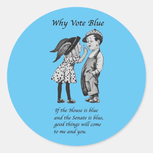 Why Vote Blue in 2026 Classic Round Sticker (Front)