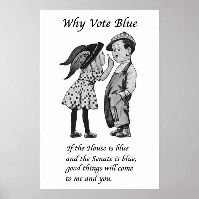 Why Vote Blue in 2026 Poster (Front)