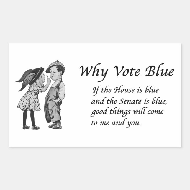 Why Vote Blue in 2026 Rectangular Sticker (Front)