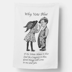Why Vote Totally Blue in 2028 House Flag