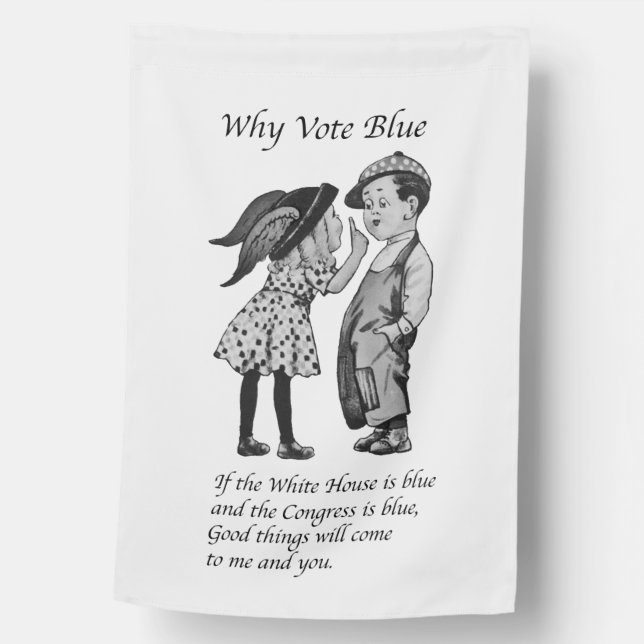 Why Vote Totally Blue in 2028 House Flag (Front)