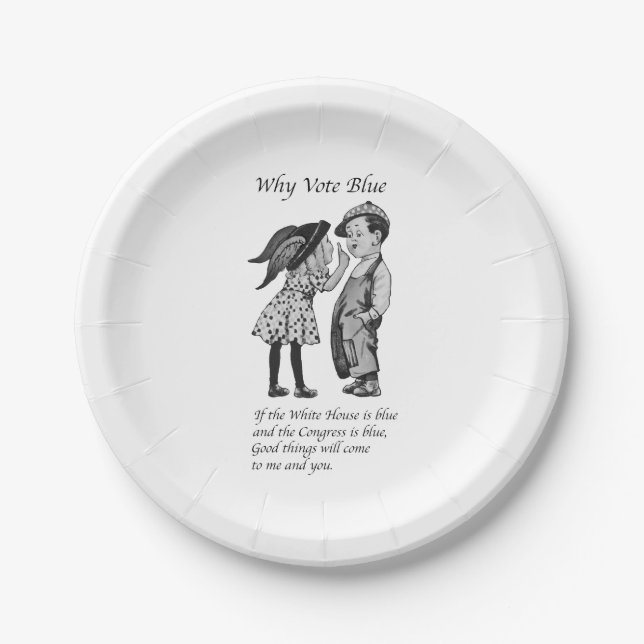 Why Vote Totally Blue in 2028 Paper Plates (Front)