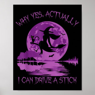 Why yes actually i can drive a stick  poster