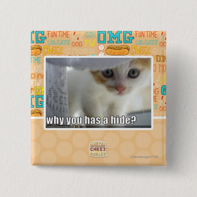 Why you has a hide? button (Front)