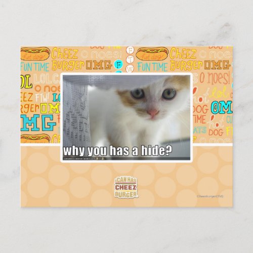 Why you has a hide postcard