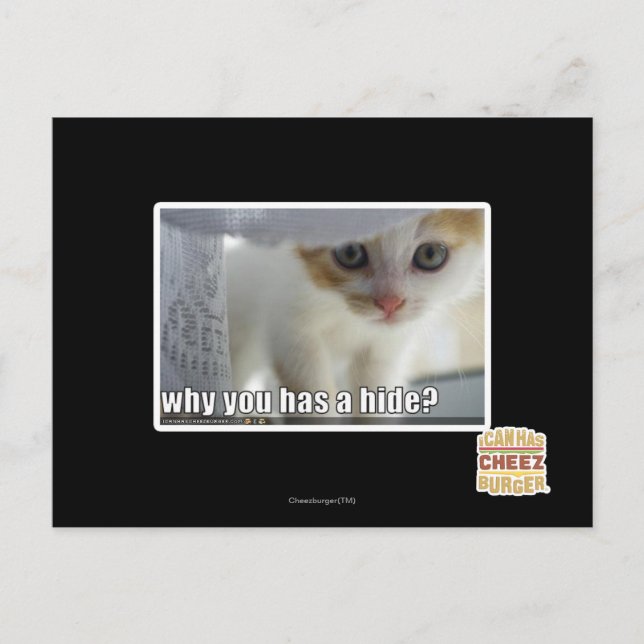 Why you has a hide? postcard (Front)