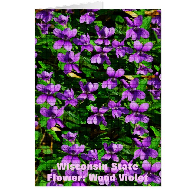 WI State Flower Wood Violet Mosaic Pattern Cards (Front)