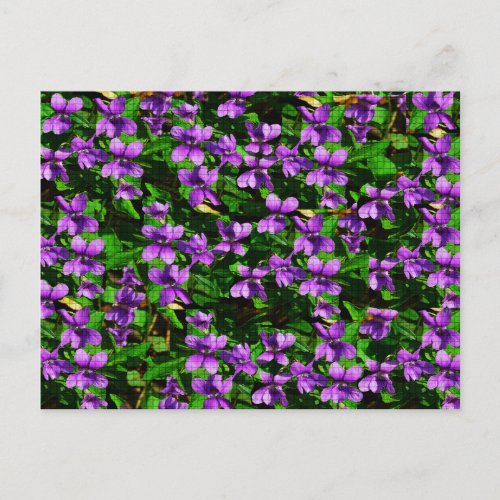 WI State Flower Wood Violet Mosaic Pattern Postcard