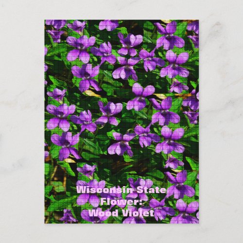 WI State Flower Wood Violet Mosaic Pattern Postcard
