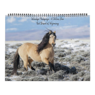 Wicahpi Hinhpaya - A Fallen Star: 2026 Calendar